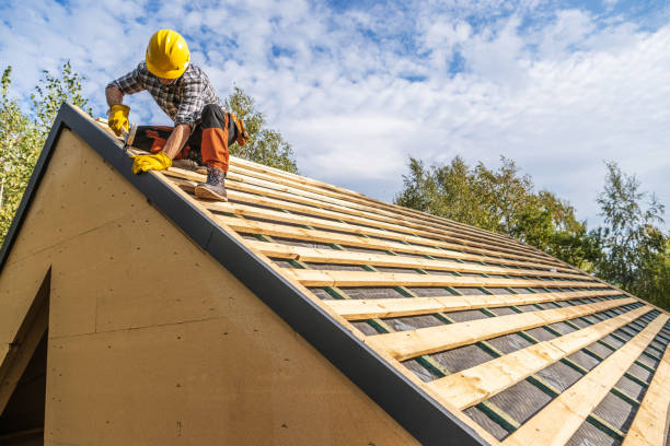 Best Roof Gutter Cleaning  in Camp Hill, PA